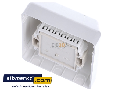 Top rear view Rutenbeck IAE/UAE8(6)#13311101 RJ12 6(6) Data outlet Cat.3 white
