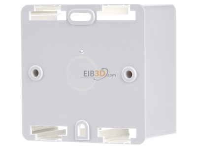 Back view Rutenbeck UAE-Cat. ApG rw Surface mounted housing white 
