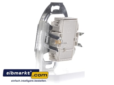 View on the right Rutenbeck UAE 8/8(8/8)Up 0 RJ45 2x8(8) Data outlet Cat.3 white 

