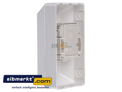 View on the right Rutenbeck UAE 8(8) Ap rw RJ45 8(8) Data outlet Cat.3 white
