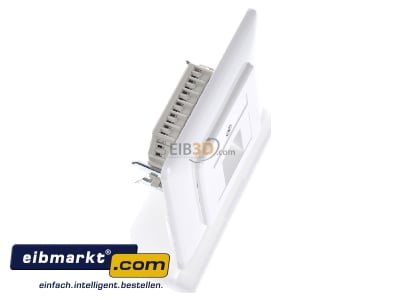 View top left Rutenbeck UAE 8(8) Up rw RJ45 8(8) Data outlet Cat.3 white
