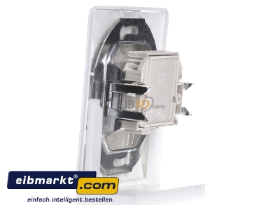 View on the right Rutenbeck UAE 2x8(8) Up rw 2x RJ45 8(8) Data outlet Cat.3 white
