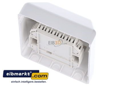 Top rear view Rutenbeck UAE 8/8(8/8) Ap rw RJ45 2x8(8) Data outlet Cat.3 white - 
