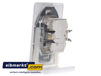 View on the right Rutenbeck UAE 8/8(8/8) Up rw RJ45 2x8(8) Data outlet Cat.3 white 
