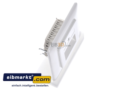 View top left Rutenbeck UAE 8/8(8/8) Up rw RJ45 2x8(8) Data outlet Cat.3 white 
