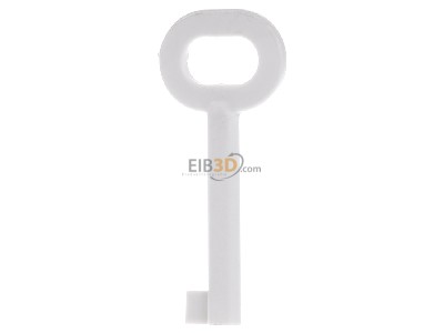 Frontansicht WindowMaster WSK 398 01 (VE5) Ersatzschlssel f. RWA-Bedienstelle WSK 398 01 (Inhalt: 5)