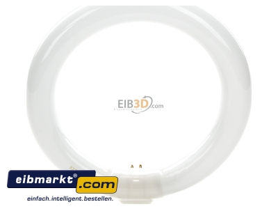 View up front Fluorescent lamp ring shape 22W 30,9mm TL-E 22W/840 Philips Lighting PLS TL-E 22W/840
