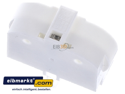 Ansicht oben hinten Houben 101493 Fassung 2G11 Steckfuss waager. 