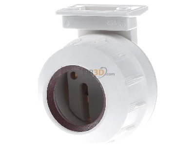 Front view Houben 100387 Plug-in lamp holder G13 
