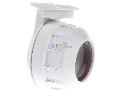 View on the left Houben 100387 Plug-in lamp holder G13 
