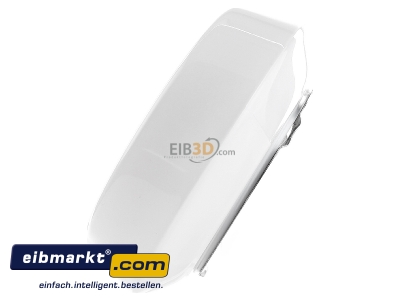 View on the right RZB Zimmermann 10120.002 Surface mounted luminaire 1x60W
