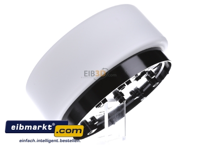View on the right RZB Zimmermann 21101.003 Surface mounted luminaire 1x75W
