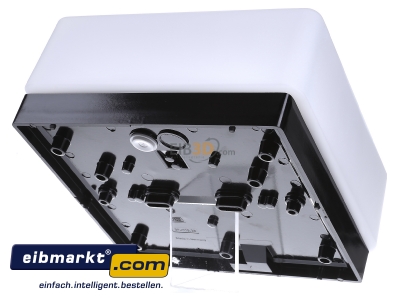 Ansicht hinten RZB Zimmermann 21128.003 Opalglasleuchte opal-mt sw A60 75W 