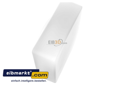 Ansicht oben links RZB Zimmermann 05-21128 Ersatzglas opal-mt 240x240mm 