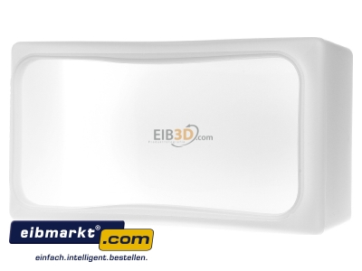 Ansicht hinten RZB Zimmermann 05-21136 Ersatzglas opal-mt 220x120mm 