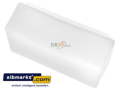 Ansicht oben vorne RZB Zimmermann 05-21136 Ersatzglas opal-mt 220x120mm 