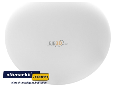 Ansicht oben vorne RZB Zimmermann 211006.002 Opalglasleuchte opal-mt ws A60 75W 