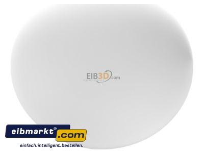 Ansicht oben links RZB Zimmermann 211006.002 Opalglasleuchte opal-mt ws A60 75W 
