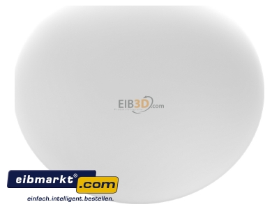 Ansicht oben hinten RZB Zimmermann 211006.002 Opalglasleuchte opal-mt ws A60 75W 