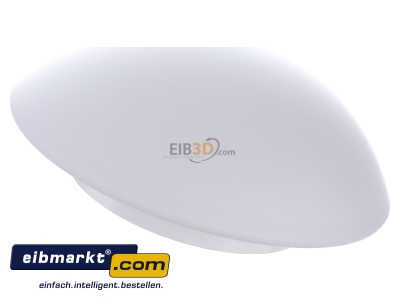 Ansicht oben hinten RZB Zimmermann 211005.002 Opalglasleuchte opal-mt ws A60 60W 