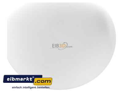 Ansicht oben hinten RZB Zimmermann 211011.002 Opalglasleuchte opal-mt ws A60 2x75W 