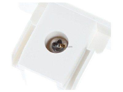 Ansicht oben hinten SLV 143131 Endkappe 