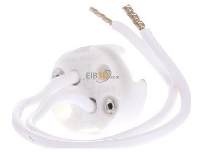 Ansicht hinten Scharnberger+Has. 88442 Keramikfassung G4/Gx5,3 100mm Kabel 
