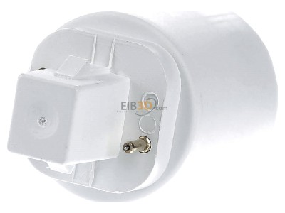 Ansicht hinten Scharnberger+Hasenbein 31041 Adapter fr Fassung G24 auf E27 