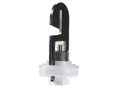View on the right LTS EU 37 sw-99-284-2 Protective housing for luminaires 

