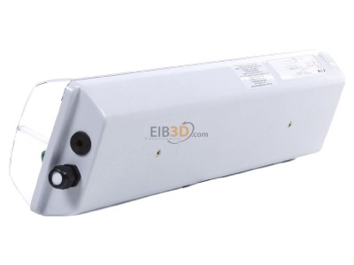 View on the right Ceag nLLK 0818/18 1/3-1 Explosion proof luminaire fixed mounting 
