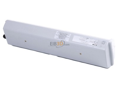 Top rear view Ceag nLLK 0818/18 1/3-1 Explosion proof luminaire fixed mounting 
