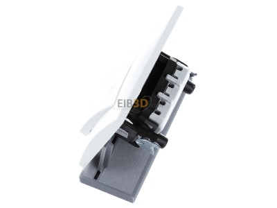 View top right Helios DSEL 2 Switch 
