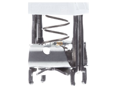 View on the right WAGO 790-216 Shield connection clamp 6...16mm 
