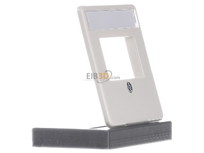 Ansicht links Rutenbeck ZSt UM-MA 2 pws Zentralplatte 2-fach,pws RAL1013 