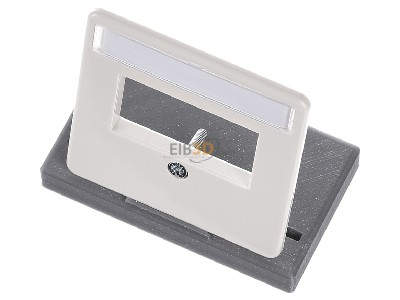 Ansicht oben vorne Rutenbeck ZSt UM-MA 2 pws Zentralplatte 2-fach,pws RAL1013 