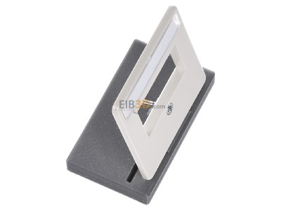 Ansicht oben links Rutenbeck ZSt UM-MA 2 pws Zentralplatte 2-fach,pws RAL1013 