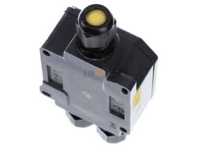 Ansicht oben hinten Stahl 8102/21-32-C995 Abzweigdose Ex e 