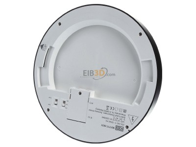Ansicht hinten RZB 901717.0031 LED-Downlight 830/840, ML, anthrazit 