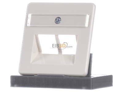 Front view Rutenbeck ZSt UAE-Cat. 8/8 Cover plate UAE/IAE (ISDN) 
