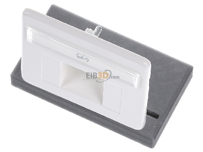 View up front Rutenbeck ZSt UAE-Cat. 8 rw Cover plate UAE/IAE (ISDN) 
