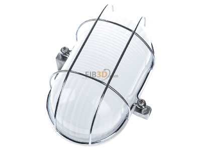 Ansicht oben links Schuch 3610 L04 LED-Ovalleuchte IP54, SK I 