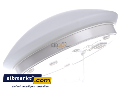 Ansicht rechts Steinel RS 16 L Sensor-Leuchte 60W IP44 230-240V 