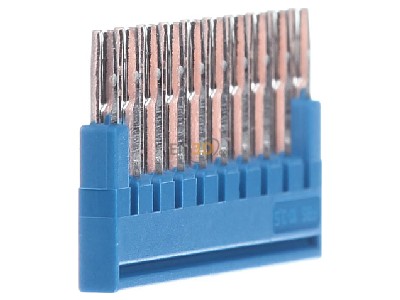 View on the left Phoenix FBS 10-3,5 BU Cross-connector for terminal block 10-p 
