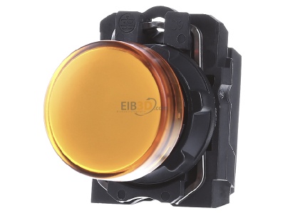 Frontansicht Schneider Electric XB5AVG5 Leuchtmelder, orange m. LED-Modul 