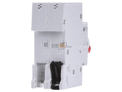 Back view ABB SHD202/63 Switch for distribution board 
