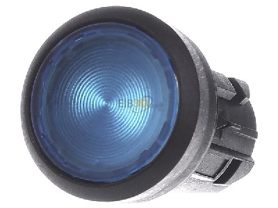 Front view Siemens 3SU1001-0AB50-0AA0 Push button actuator blue IP68 

