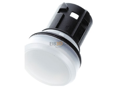 Ansicht oben vorne Siemens 3SU1001-6AA60-0AA0 Leuchtmelder 22mm, rund, wei 