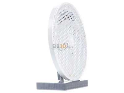 View on the left Telemechanique Sensors XUZC80 Round reflector for light barrier
