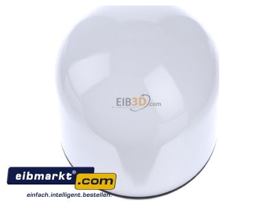 View top right BEGA Gantenbrink 11232741 Light technical accessory for luminaires
