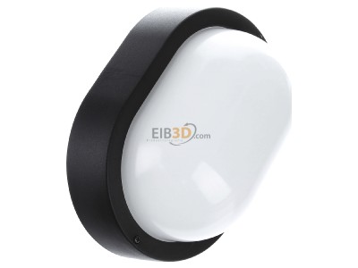 Ansicht oben links Performance in Light EKO 19 E27 750 sw Wandleuchte 